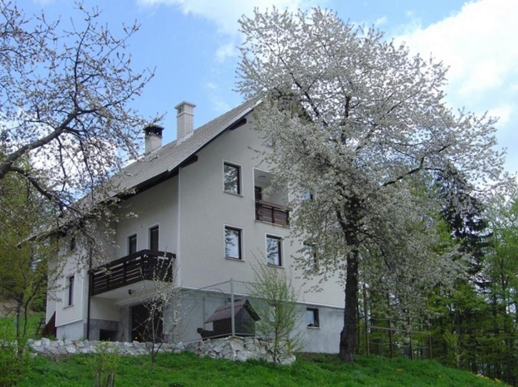 Apartments Pri Marjetki Cerkno Kültér fotó