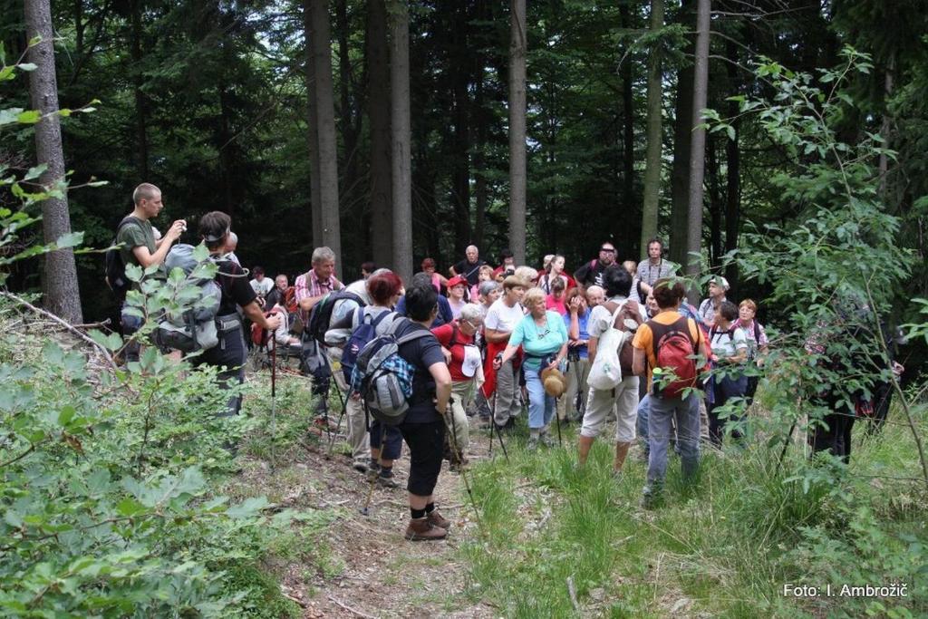 Apartments Pri Marjetki Cerkno Kültér fotó
