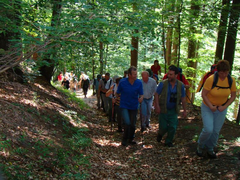 Apartments Pri Marjetki Cerkno Kültér fotó
