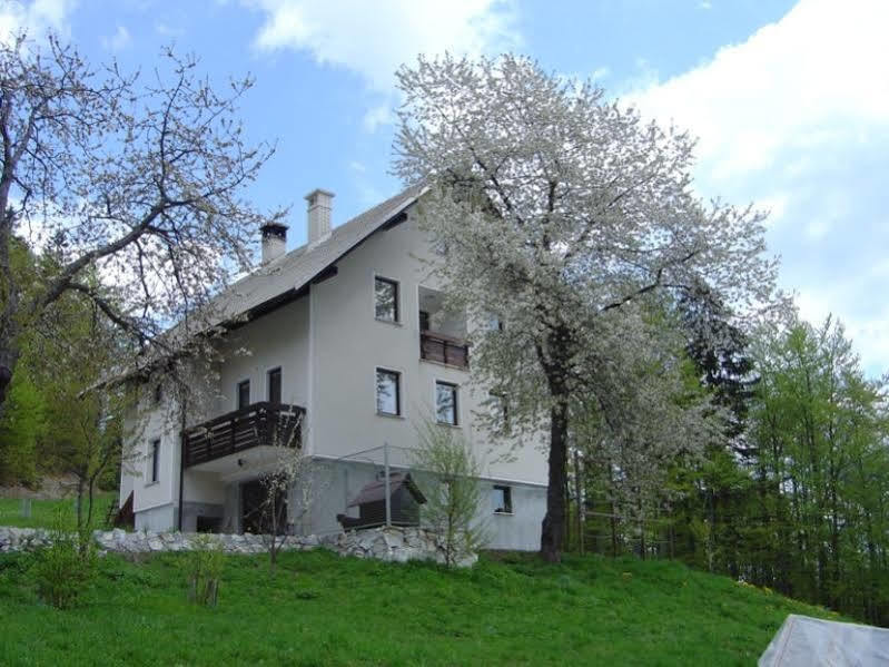 Apartments Pri Marjetki Cerkno Kültér fotó