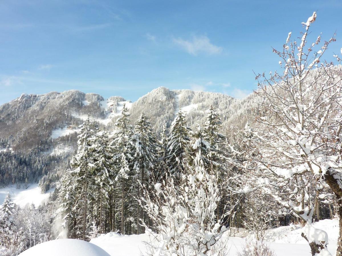 Apartments Pri Marjetki Cerkno Kültér fotó