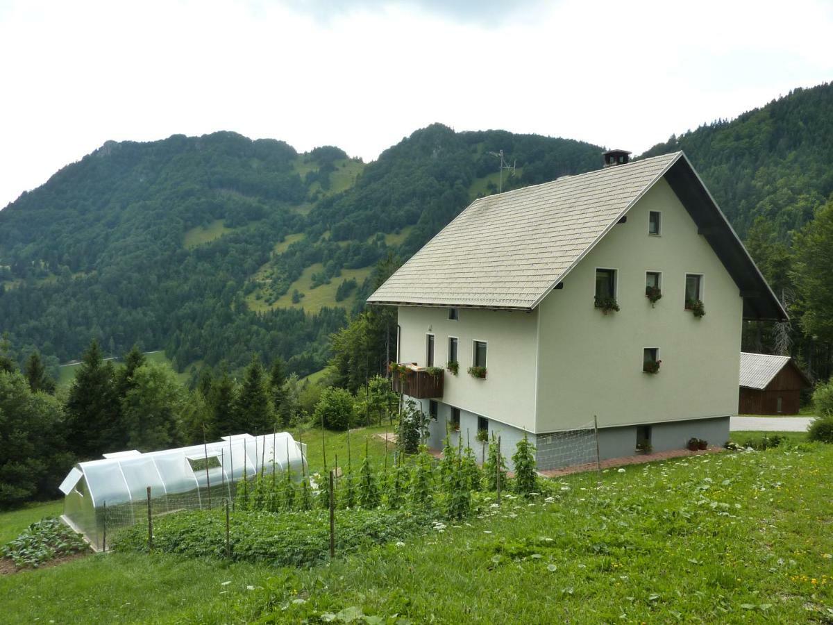 Apartments Pri Marjetki Cerkno Kültér fotó